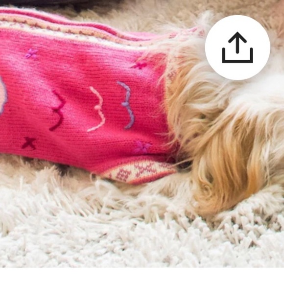 Embroidery Peruvian dog cardigan S/M - Picture 2 of 7